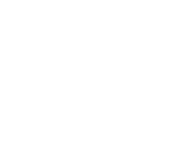 Nippori Publika logo